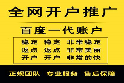 竞价推广代运营服务效果展示