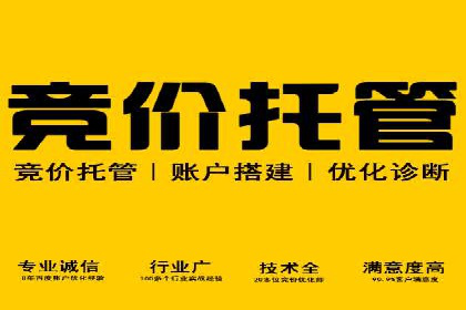 百度SEO优化公司案例：打造品牌网络曝光新高度